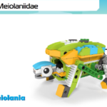 0 Meiolanidae